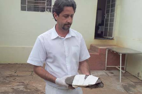 Animais vítimas de violência recebem vida nova em clínica de Patos de Minas