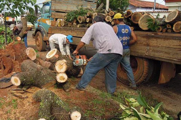 Equipes trabalham na limpeza e recuperação dos estragos causados pelo temporal de ontem