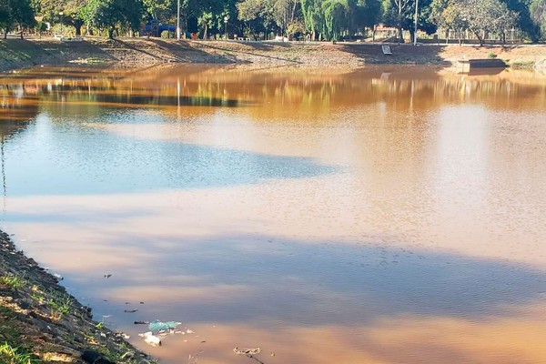 Limpeza da Lagoinha terá início ainda este mês com remoção de peixes e outros animais