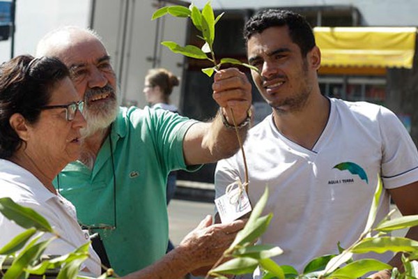 Água e Terra comemora aniversário de 15 anos com distribuição de mudas no centro da cidade