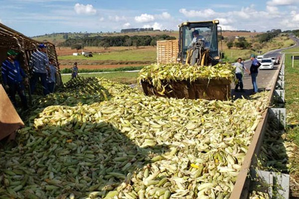 Carreta carregada com 32 toneladas de milho tomba na rotatória da BR365 com a MGC 354