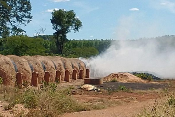 TAC coíbe exploração de trabalho análogo ao de escravo após Operação Resgate em Minas Gerais