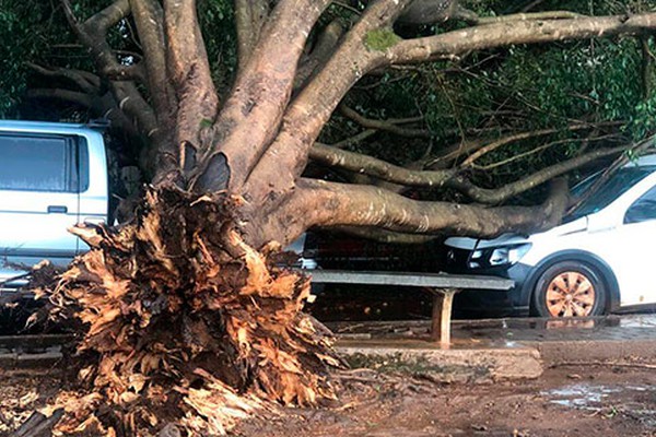 Temporal com ventos e granizo provoca estragos e deixa moradores de Bonsucesso sem energia