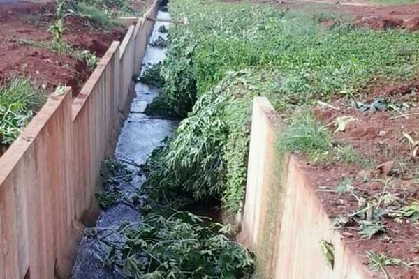 Canal construído para evitar alagamentos em Patos de Minas é tomado por mato e sujeira