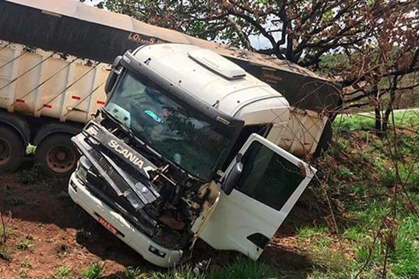 Equino é morto ao ser atingido em cheio por carreta na MGC 354 em Presidente Olegário