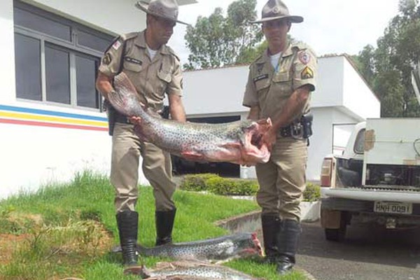 Pesca nos rios Paranaíba, Prata e Abaeté fica totalmente proibida durante a Piracema