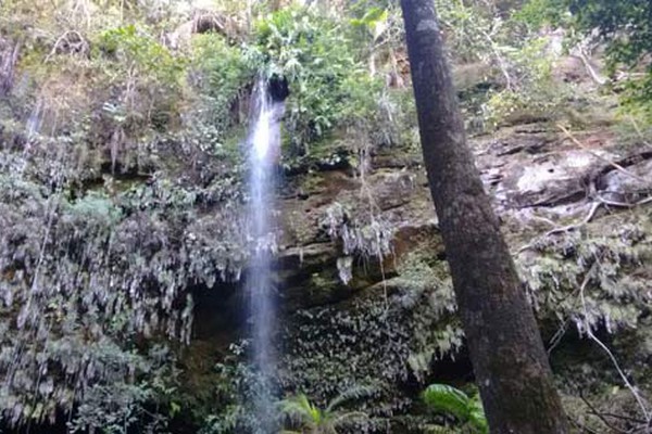 Nascente preservada se transforma em queda d’água de mais de 30m em Patos de Minas