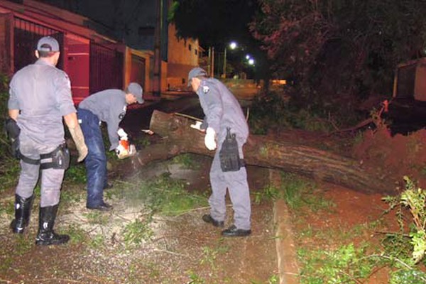 Temporal derruba árvores, alaga diversas ruas e residências e assusta moradores