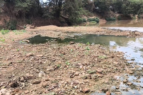 Rio Paranaíba sofre com falta de chuva: caminhamos pelo leito sem molhar os pés