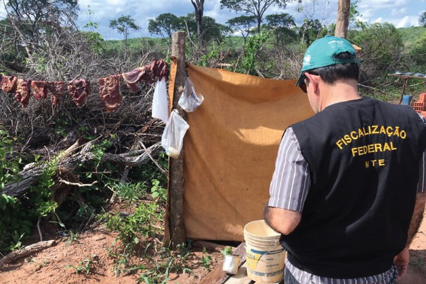 Varjão de Minas se destaca em resgate de trabalho escravo no Brasil