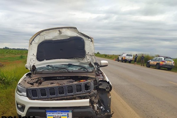 Pedestre de 51 anos morre após ser atropelado na BR 354, em Rio Paranaíba