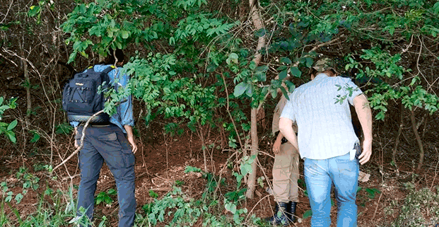 Ossada humana é encontrada próximo ao perímetro urbano de Presidente Olegário